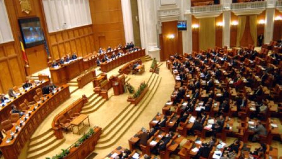 Activitate intensă în Parlamentul României