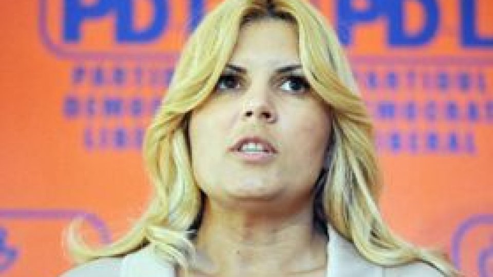 Elena Udrea : PDL are nevoie de reformă !