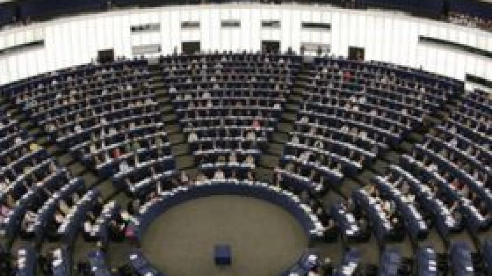 Organizaţii româneşti solicită sprijinul Parlamentului European