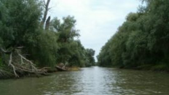 Strategia Europeană a Dunării prinde contur