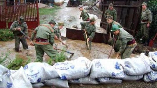 Banii pentru diguri, furaţi "ca-n codru"