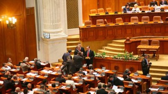 Deputații cer părerea alegătorilor referitor la câinii fără stăpân