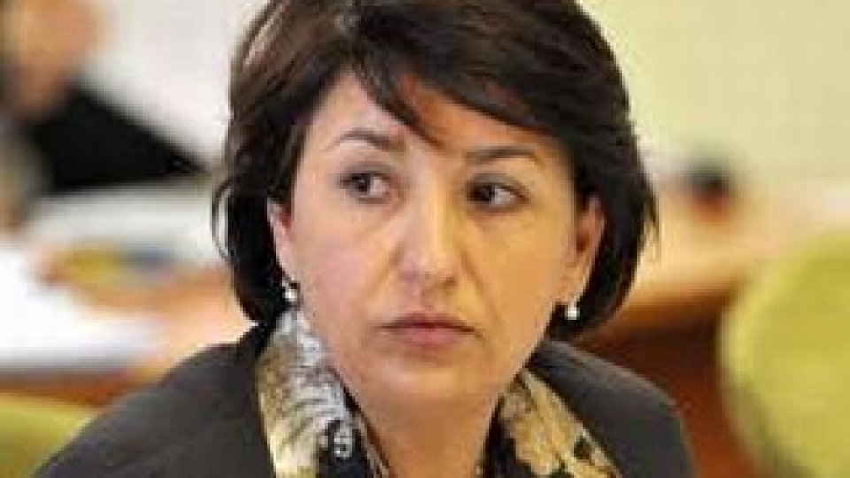 Sulfina Barbu, Ministrul Muncii