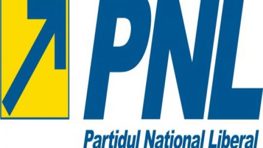 Profilul candidatului liberal la alegerile locale din 2012