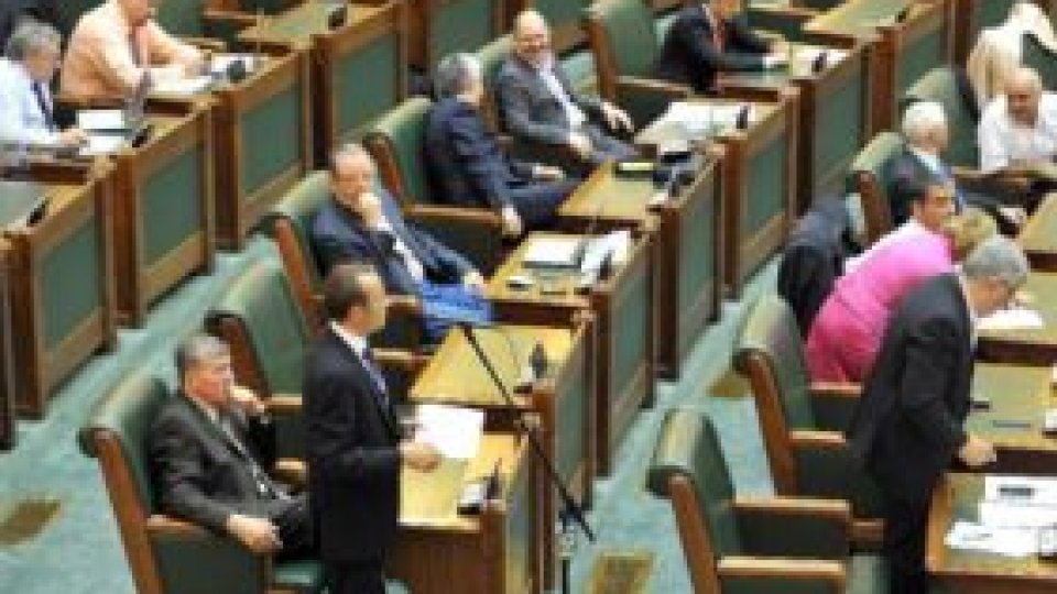 Senatul a amânat votul membrilor CSM
