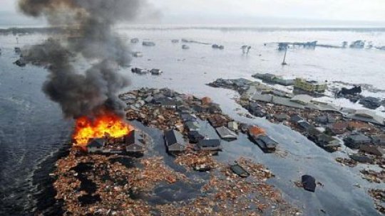 Japonia, tot mai multe victime