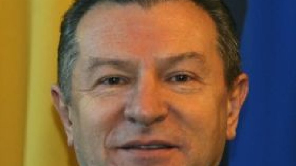Radu Berceanu, senator PDL