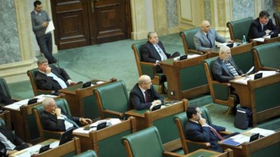 UDMR a solicitat amânarea discuţiilor pe statutul minorităţilor