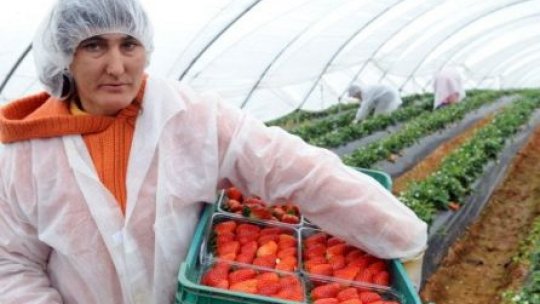 Politicienii românii consideră decizia de la Madrid, discriminatorie