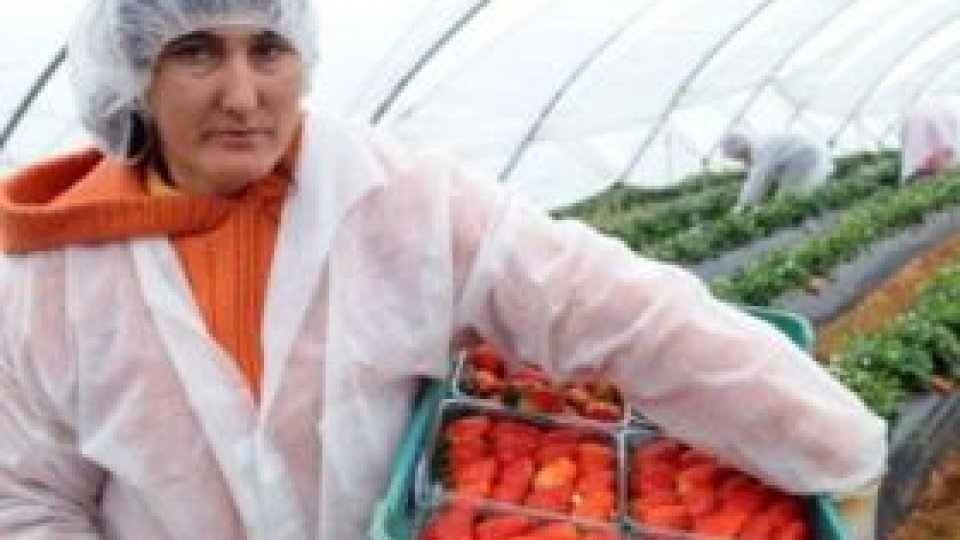 Comisia Europeană a aprobat restricţia de muncă pentru români cerută de Spania