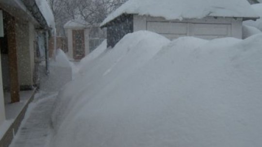 Viscolul şi ninsorile lovesc Moldova