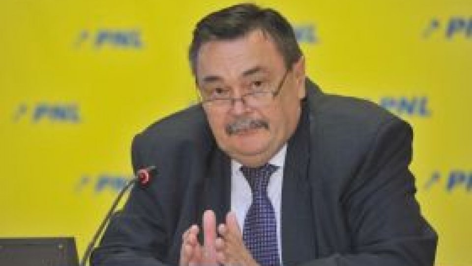 Victor Paul Dobre, vicepreşedinte PNL