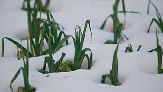 PSD solicită Guvernului să prezinte bilanţul pierderilor din agricultură