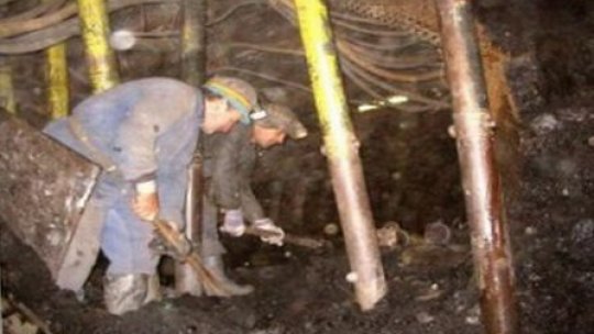 Ministerul Economiei a ajuns la un consens cu minerii