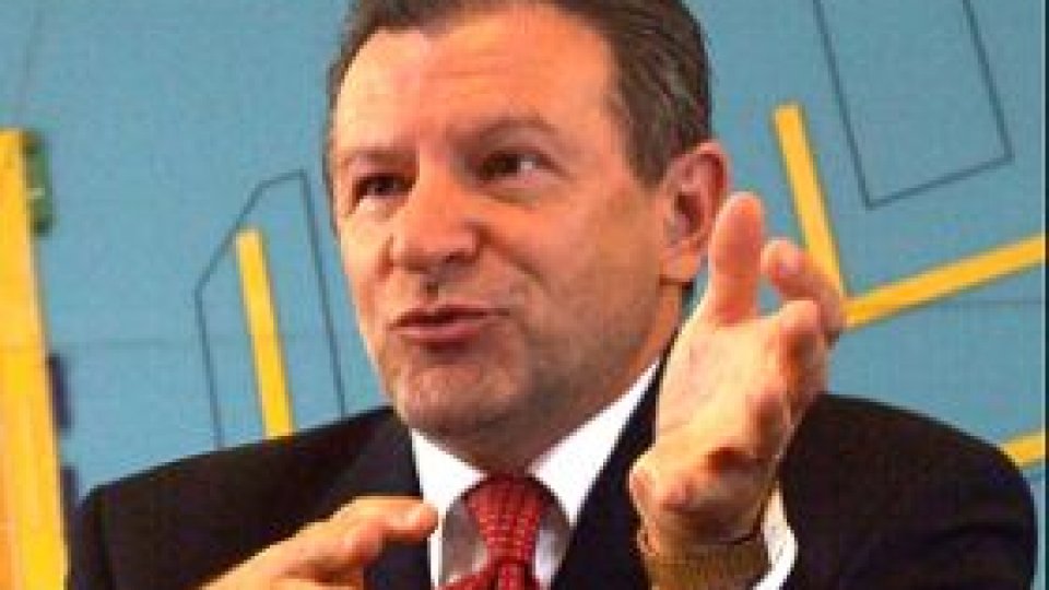 Radu Berceanu, senator PDL