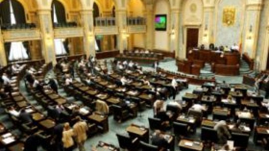 Senat: Horia Gârbea şi Vladimir Simon, validaţi pentru funcţiile de vicepreşedinţi ai ICR