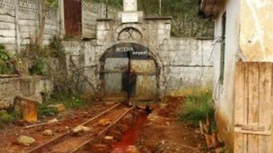 Critici multe despre proiectul "Roşia Montană"  în Comisia specială