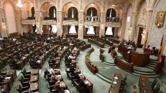 Majorarea alocaţiei pentru copii, respinsă de Senat