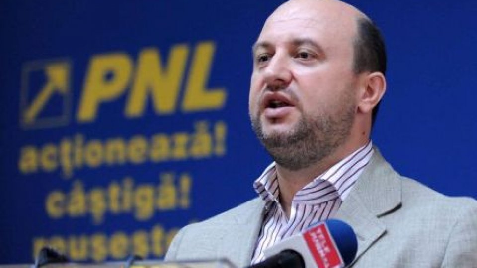 Chiţoiu: Statutul PNL e făcut chiar de cei care îl contestă