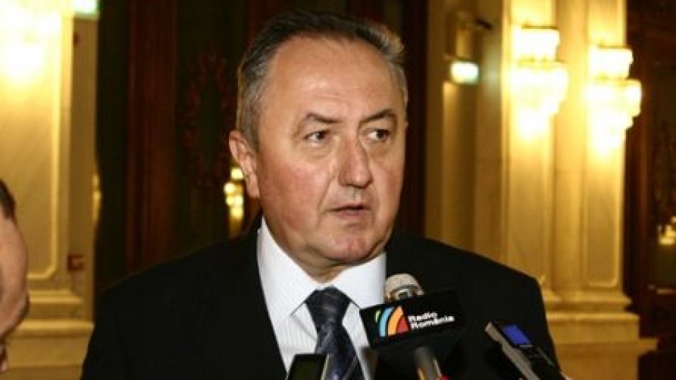 PDL atacă Statutul cadrelor militare la Curtea Constituţională