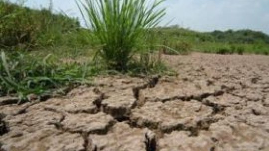Ministrul Agriculturii trage un semnal de alarmă: Se anunţă secetă