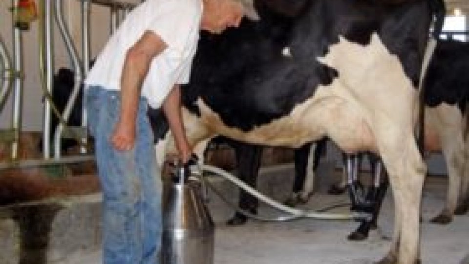 Ce impact va avea eliminarea cotelor de lapte pentru ţările UE?