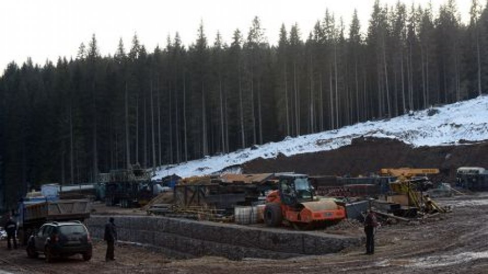 Ecologiştii "Indigo" cer stoparea construcţiei unei fabrici de cherestea în Covasna