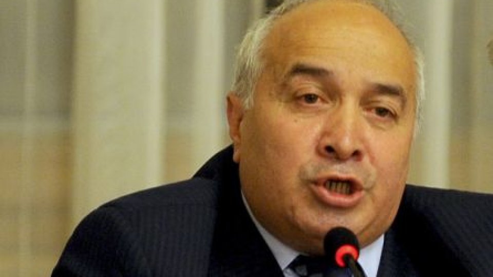 Documentele pentru terenul Ioanei Băsescu, depuse de un consilier prezidenţial