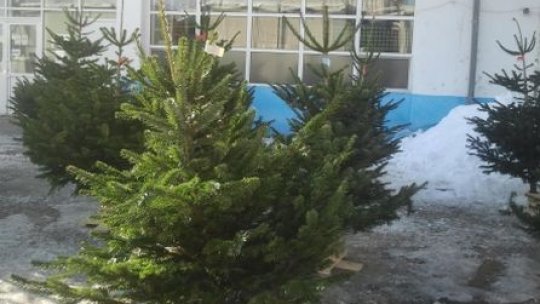 Moş Ajun bate la uşă