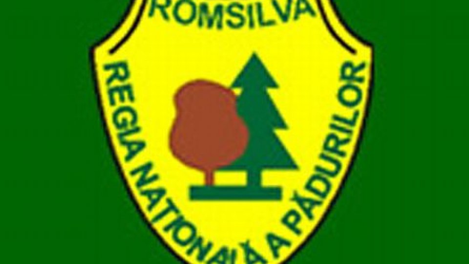 Federaţia pentru Apărarea Pădurii cere respingerea proiectului privind reorganizarea Romsilva