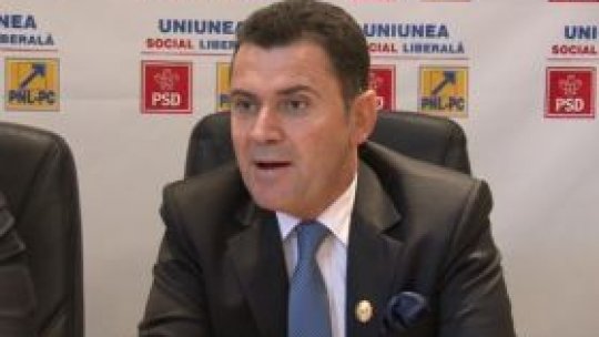 Mircea Dolha, deputat PNL