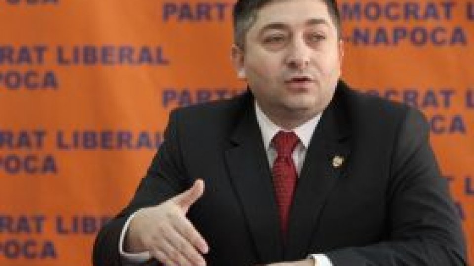 Alin Tişe, senator PDL