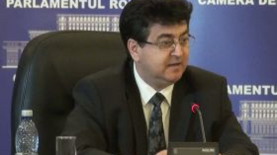 Tinel Gheorghe, liderul deputaţilor PDL