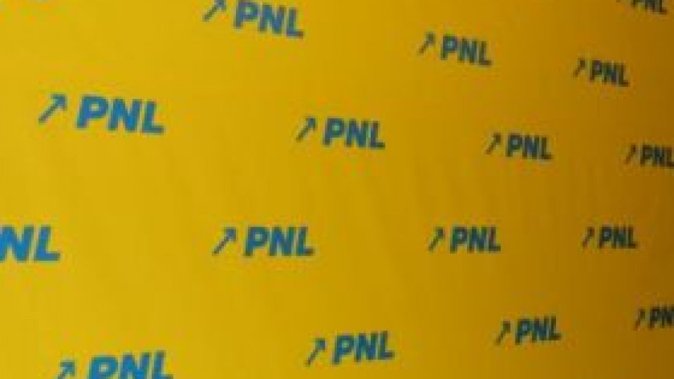 PNL: Între Băsescu şi Ponta nu există un dialog constructiv, ci doar o mascaradă