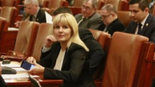 Elena Udrea, din nou la "mâna deputaţilor"