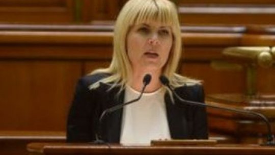 Elena Udrea: Sunteţi chemaţi să daţi un vot în orb