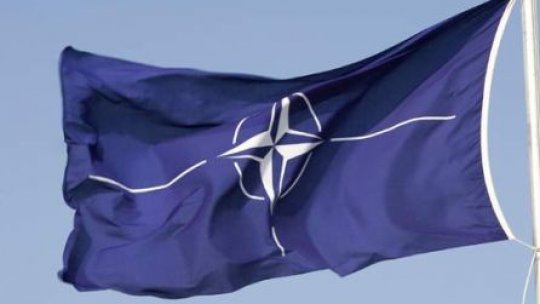 Reuniune de urgenţă NATO, după ce Turcia a doborît un avion rusesc