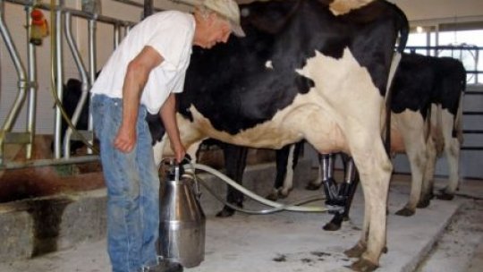 INS: A crescut cu 20% importul de lapte