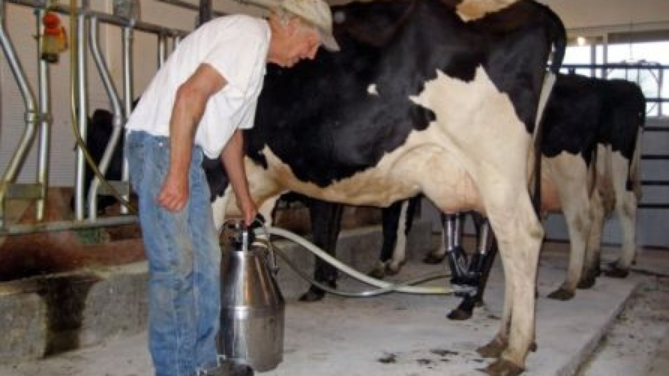 INS: A crescut cu 20% importul de lapte