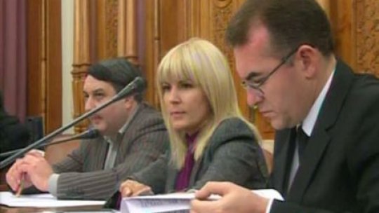Elena Udrea îşi pledează din nou cauza în plenul Camerei Deputaţilor