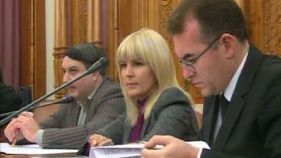 Elena Udrea îşi pledează din nou cauza în plenul Camerei Deputaţilor