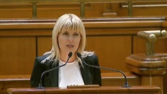 Udrea în Parlament: Este evident că sunt o țintă