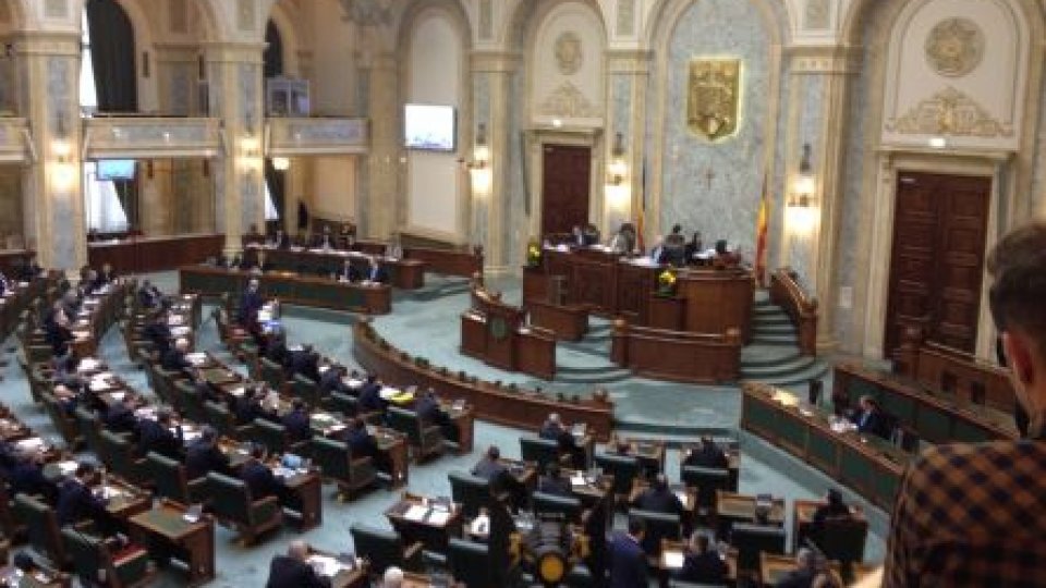 AUDIO Senatorii  au votat "DA" pentru Vâlcov, "NU" pentru Şova 