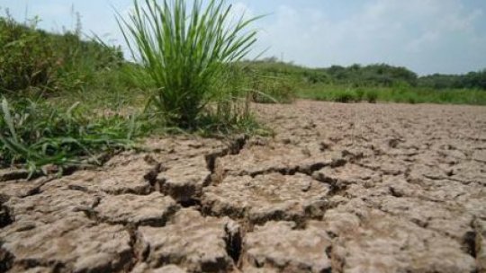 Republica Moldova, confruntată cu cea mai gravă secetă