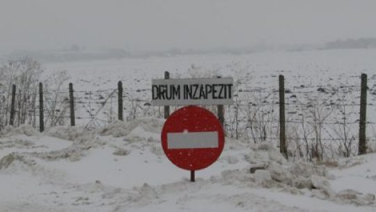 Pe Autostrada Soarelui, troiene de peste un metru