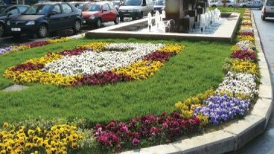 Primăriile din București au făcut risipă de fonduri pe spații verzi
