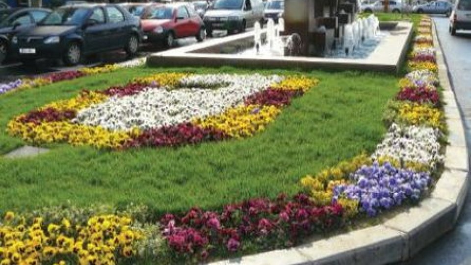 Primăriile din București au făcut risipă de fonduri pe spații verzi