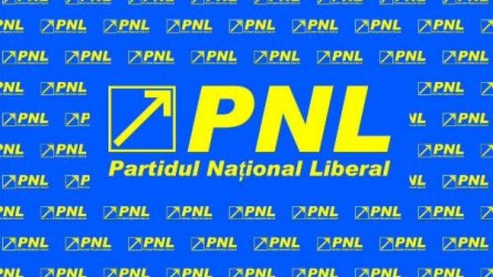 Liberalii îşi stabilesc nouă formulă de conducere interimară a partidului