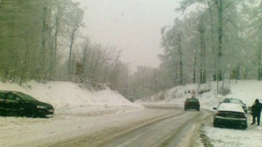 România, sub cod galben de ninsori, polei şi vânt puternic