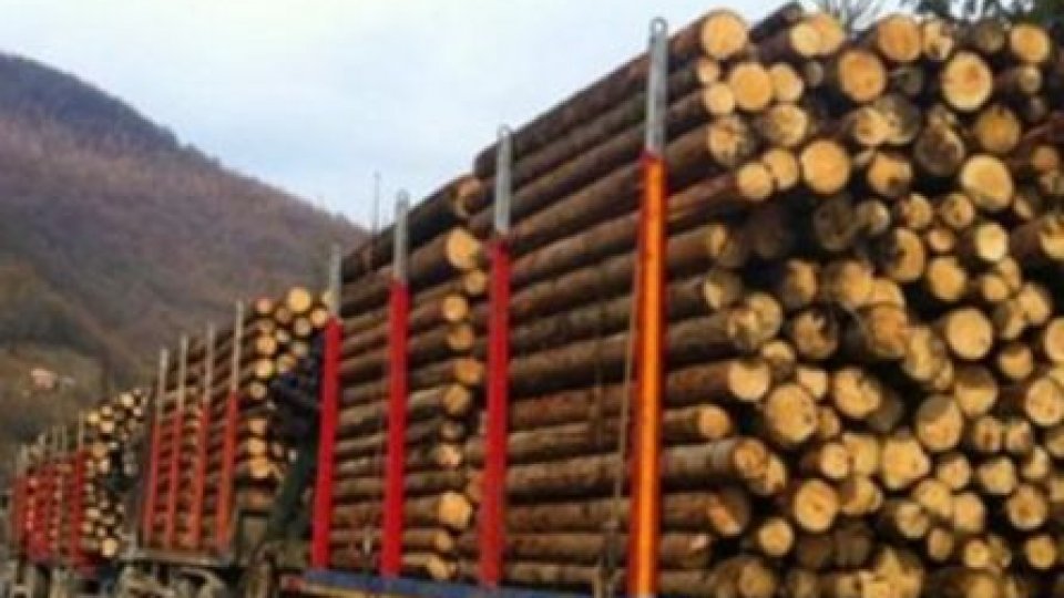 Regulamentul de valorificare a lemnului, modificat de Guvern